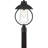 Capsicum Seeded Lantern Head
