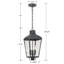 Lustre d'extérieur en graphite 3 lumières Paonia