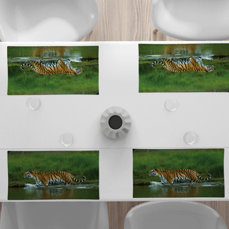 Récapitulatif 18,5" safari