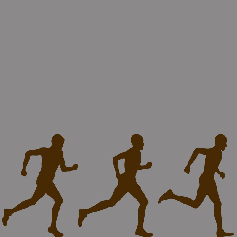 Moneta Sports Non-Wall Damaging Wall Decal, Chocolate Brown