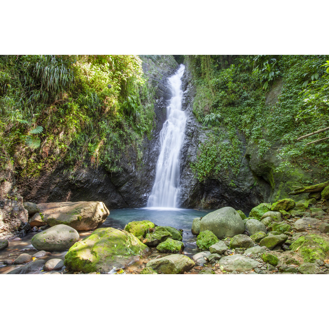 Grenada, Au Coin Falls von Flavio Vallenari - Druck auf Leinwand ohne Rahmen