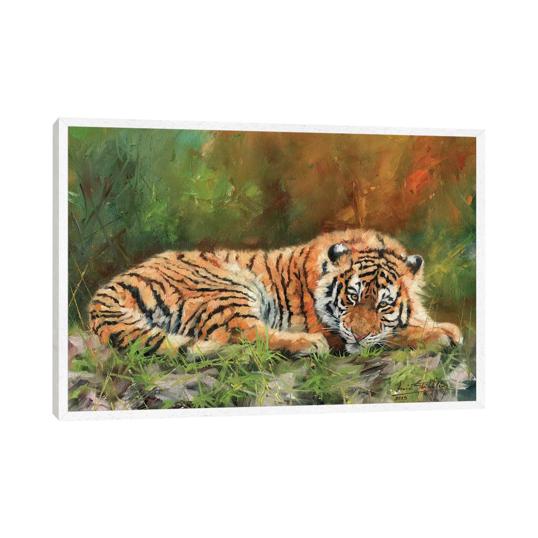 Amur Tiger Repose von David Stribbling - Gallery-Wrapped Canvas Giclée on Canvas