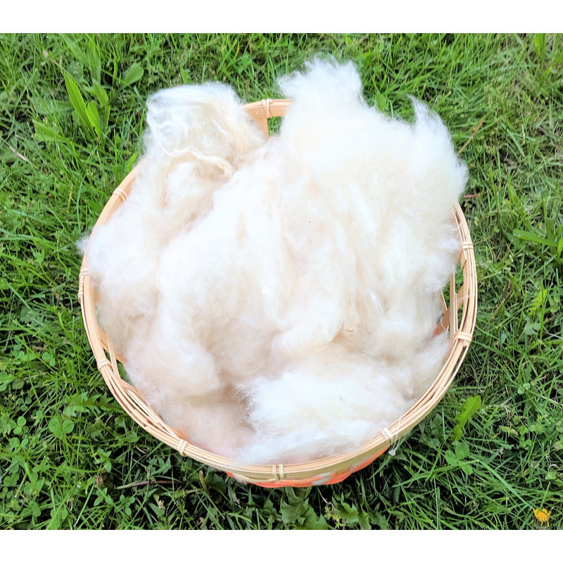 Wholesale Kapok Fiber by the lb, 250 lbs
