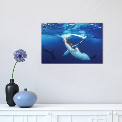 " Whale Of A Time " by Jordan Robins