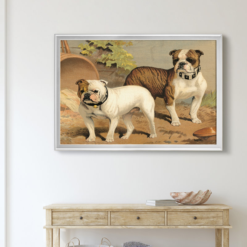 Bull Bulls - reproduction de photo sur toile, H 26,5 po x l 36,5 po x P 1,5 po, Argent