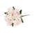 Light Pink selected