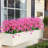 Mixed Assortment Arrangement-1616388580