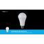 Ampoule DEL A21 à intensité variable, 17 W (100 W éqv.), Culot E26, blanc doux-56785839