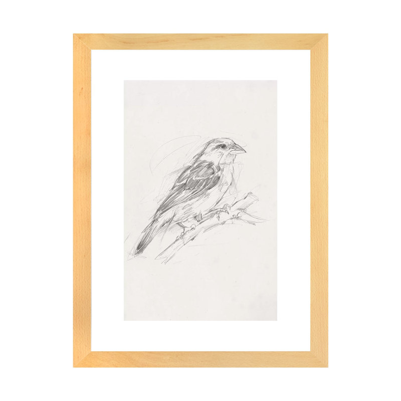 Reproduction d’art, "Avian Study II" par Ethan Harper, Blanc, H 24 po x l 16 po x P 1 po, Toile avec cadre en bois beige