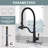 Aleasha Kitchen Faucet-77864176