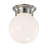 Glass LED Flush Mount