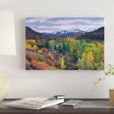 " Quaking Aspen Forest In Autumn, Snowmass Mountain Near Quaking Aspen, Colorado " by Tim Fitzharris