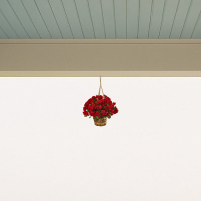 Geranium panier suspendu résistant aux rayons UV