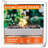 Tabletop Fire Tabletop Fireplace with Flame Guard