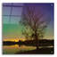  'Tree Under Aurora Borealis' by Epic Portfolio Acrylic Glass Wall Art, 24" x 24"-1001145470