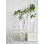 Vase Araminta 5,5 "- Transparent