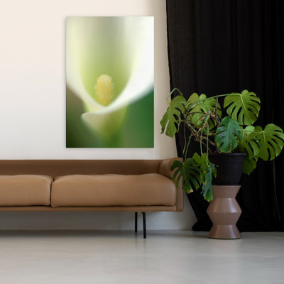 Calla Lilly Delicate Dreamy Ethereal Flower Nature Art