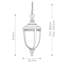 Thynes 3 - Light Pendant-14715345-14715348