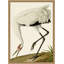 Oiseau 2 Print