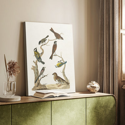 Oiseaux antiques dans la nature II - galerie Cavas sur mesure