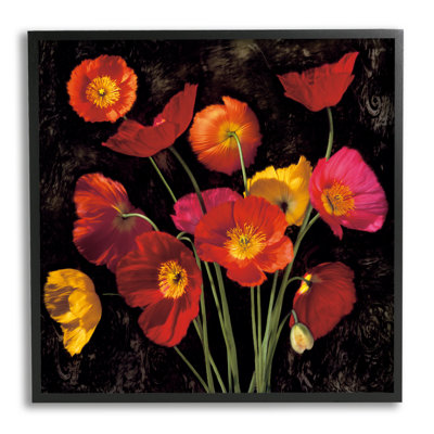 " Red Poppies " by John Seba