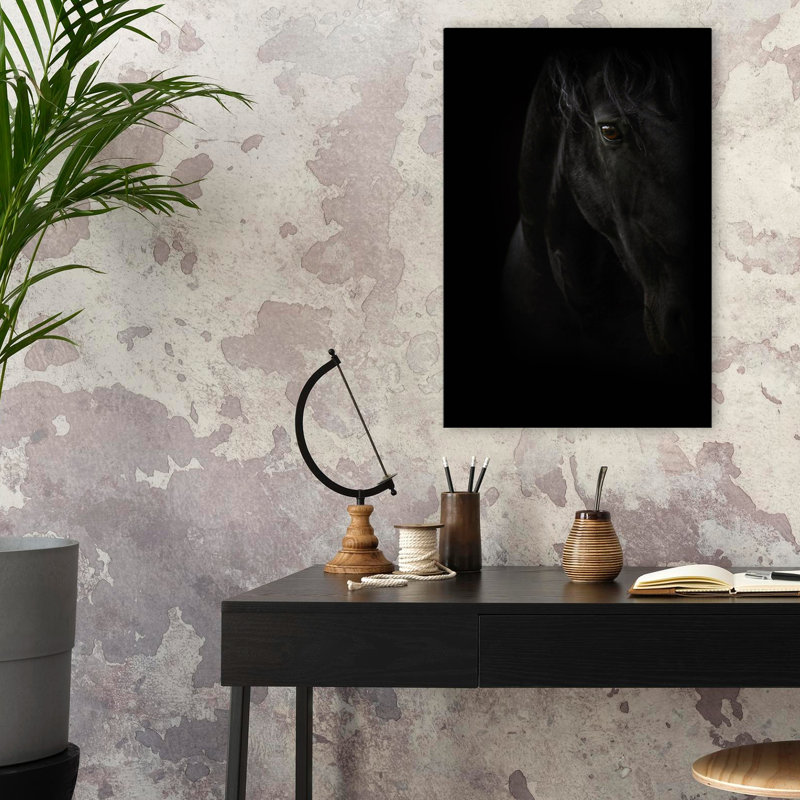 Perle noire - photographie, animaux, chevaux, H 24 po x l 16 po
