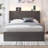 Storage Bed with Modern Platform, Built-In USB Charging & LED Lighting with RGB Options-1587627137-1587627136