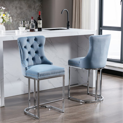 Leviton Tufted Asons Dining Chair, Set Of 2 by Everly Quinn