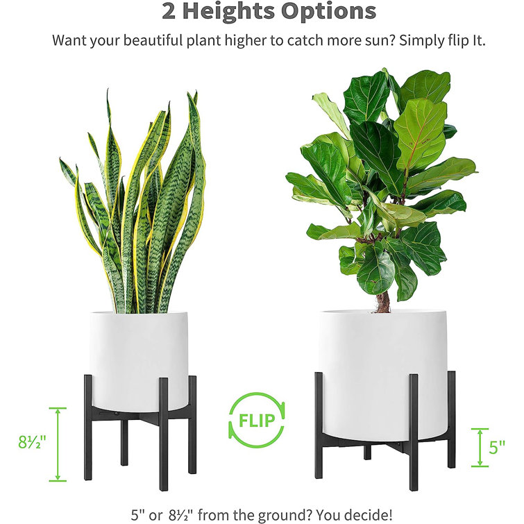 Arlmont & Co. Orlah Plant Stand - Wayfair Canada