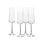 Aline 10 oz. Champagne Flutes