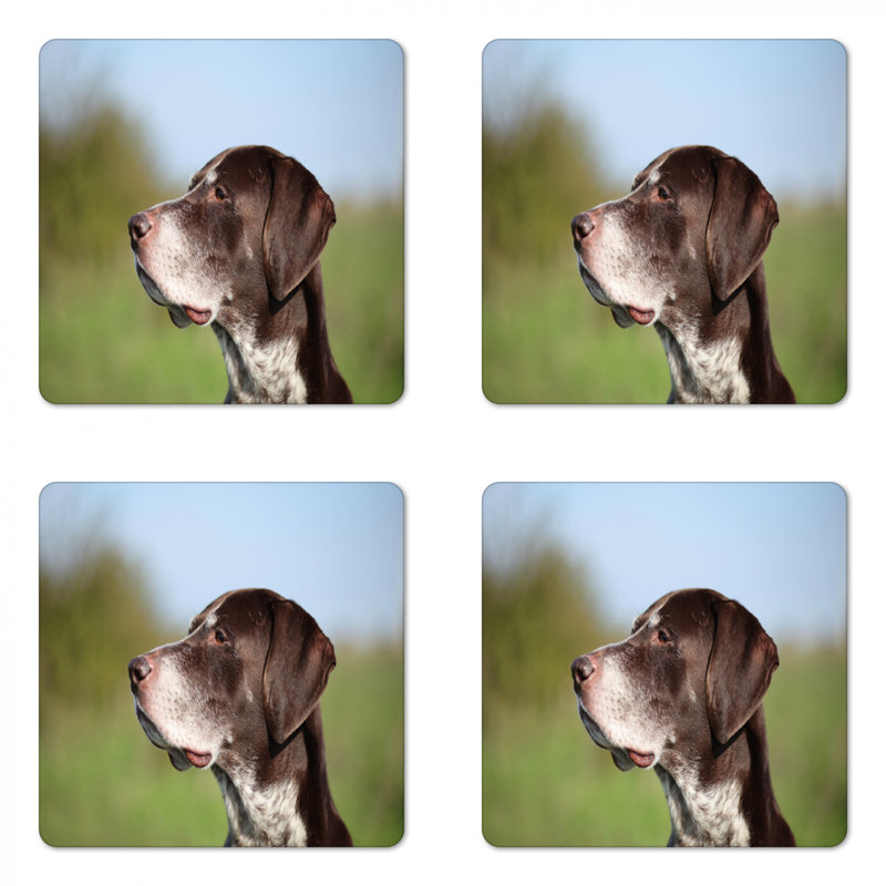 Sous-verre de chasse