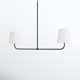 Anna May 2 Light Poly-Blend Dimmable Pendant