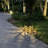 Low Voltage Integrated LED Metal Pathway Light-80797676