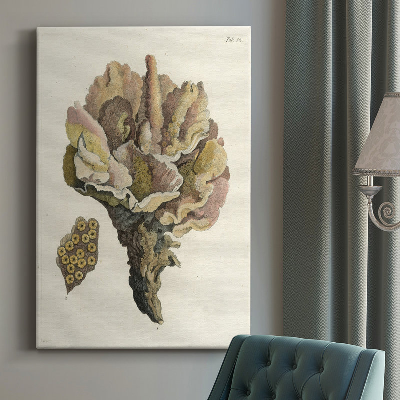 Antique Coral III - impression sur toile tendue, L 40 po x H 60 po