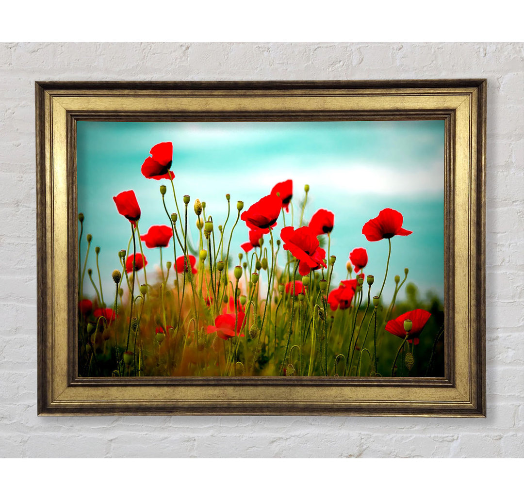 Beautiful Poppy Field Skies - Einzelner Bilderrahmen Kunstdrucke