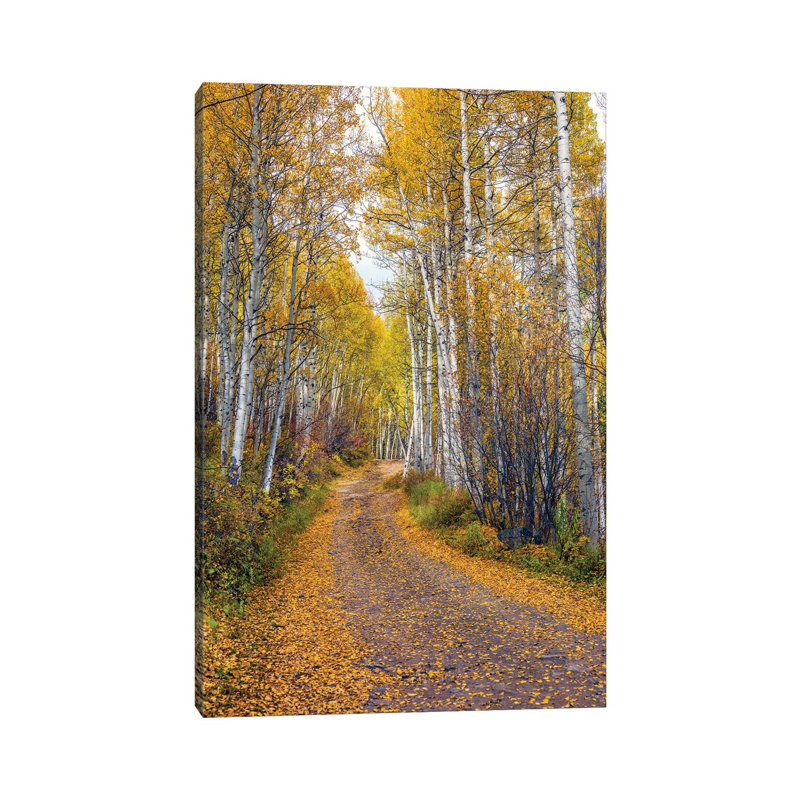 Automne à Aspen, Colorado, H 18 po x l 12 po x 1,5 po