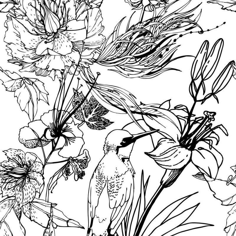 Papier peint adhésif colibri N04261