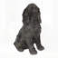 Statue réaliste de cocker spaniel assis, figurine de chiot plus vrai que nature, sculpture décorative pour jardin ou maison.
