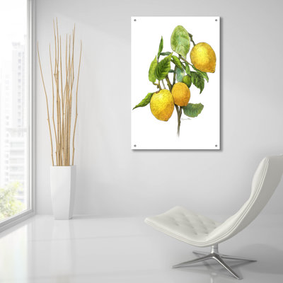 «Lemon Tree Branch» par Artand a Little Magic, verre acrylique