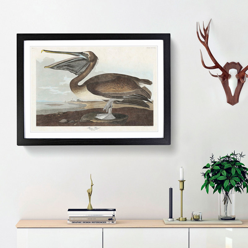 A Brown Pelican by John Audubon - Framed Print, 24cm H x 33cm W x 2cm D, Black Framed