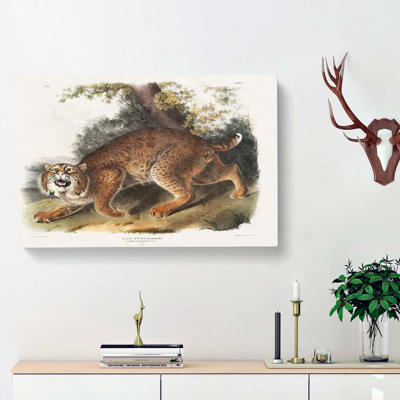 American Wildcat - Wrapped Canvas