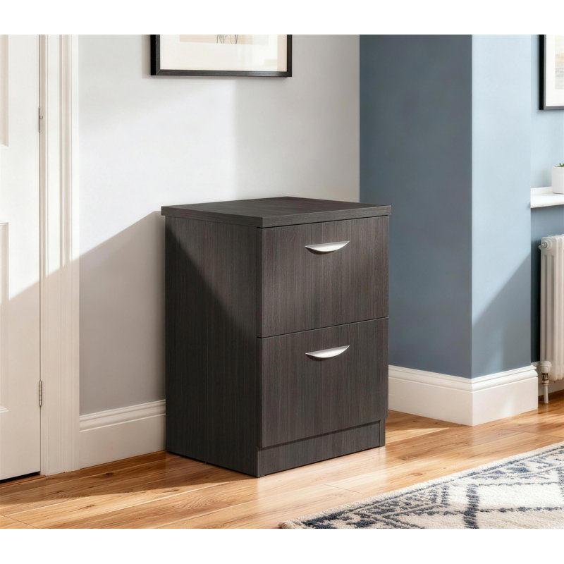 48 cm W 2 -Drawer Filing Cabinet, Black Havana