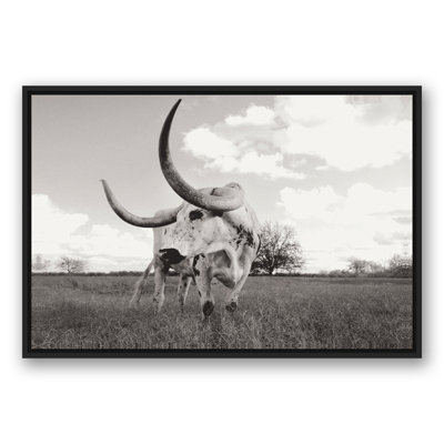 Bull photo encadrée sur toile