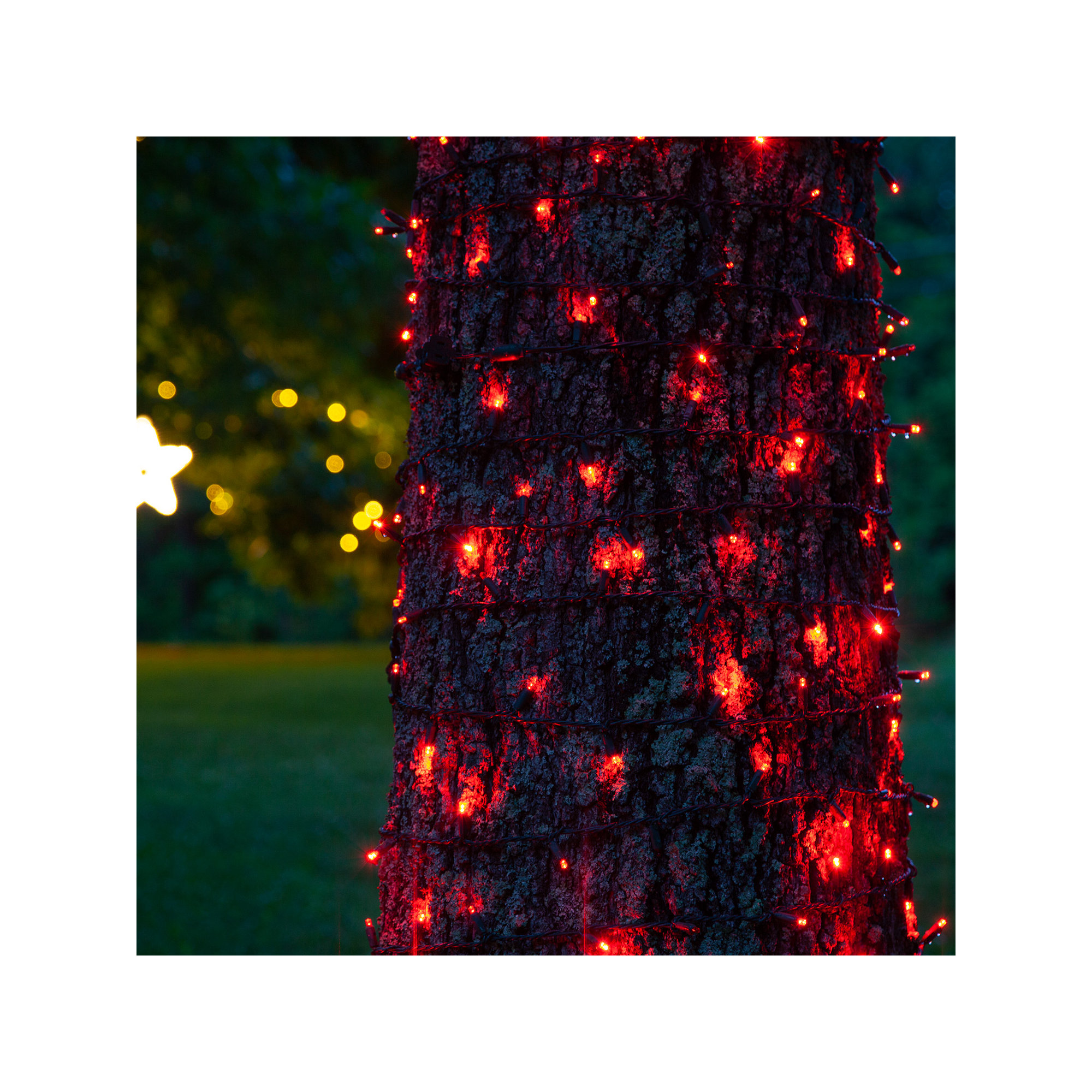 204" SoftTwinkle LED String Lights, Red