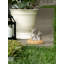 PEEK-A-BOO GARDEN BUNNIES DECOR