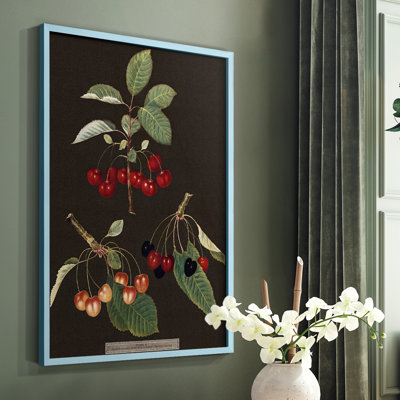 Brookshaw Cherries Framed Print - Solid Wood