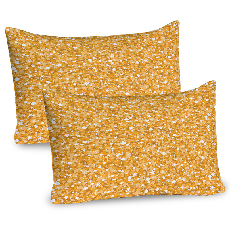 Ensemble de 2 taies décoratives Ambesonne, H 20 po x l 36 po