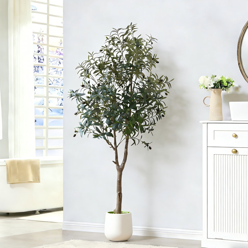 Faux Olive Tree Plant in Freestanding, 213.4 cm H x 21.8 cm W x 21.8 cm D
