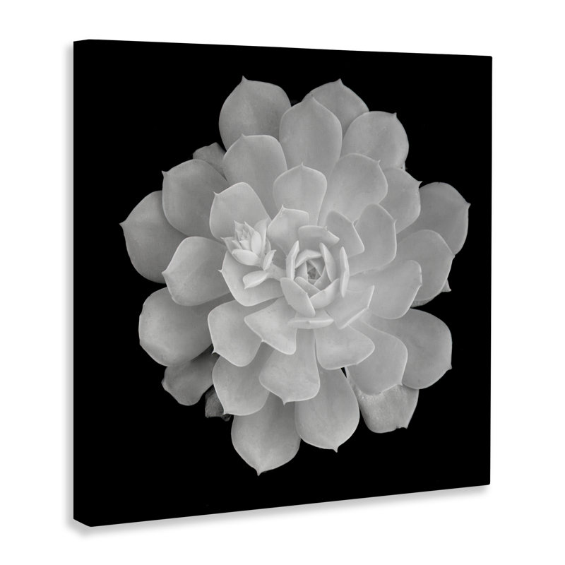 Toile de contraste blanc pur pure, design par Phillip Flowers, H 36 po x l 36 po