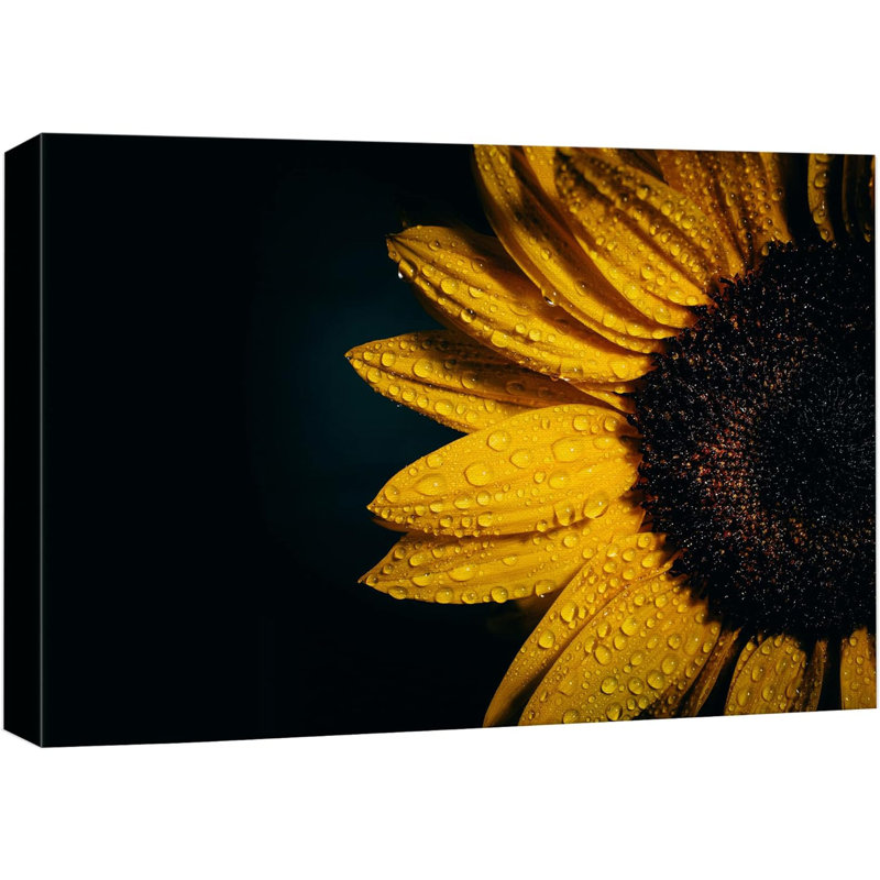 Tournesol "Gros plan détail automne goutte de tournesol" sur toile, H 32 po x l 48 po